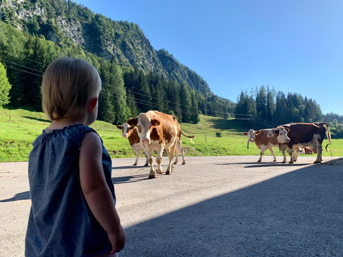 Apartmán Hinterankerwald Walchsee Exteriér fotografie