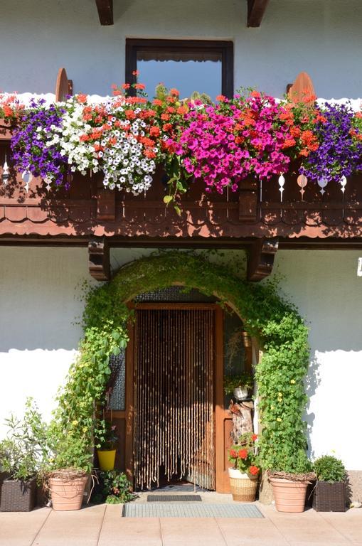 Apartmán Hinterankerwald Walchsee Exteriér fotografie