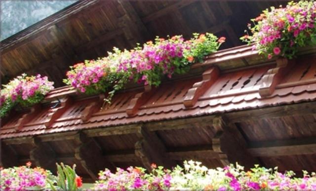 Apartmán Hinterankerwald Walchsee Exteriér fotografie