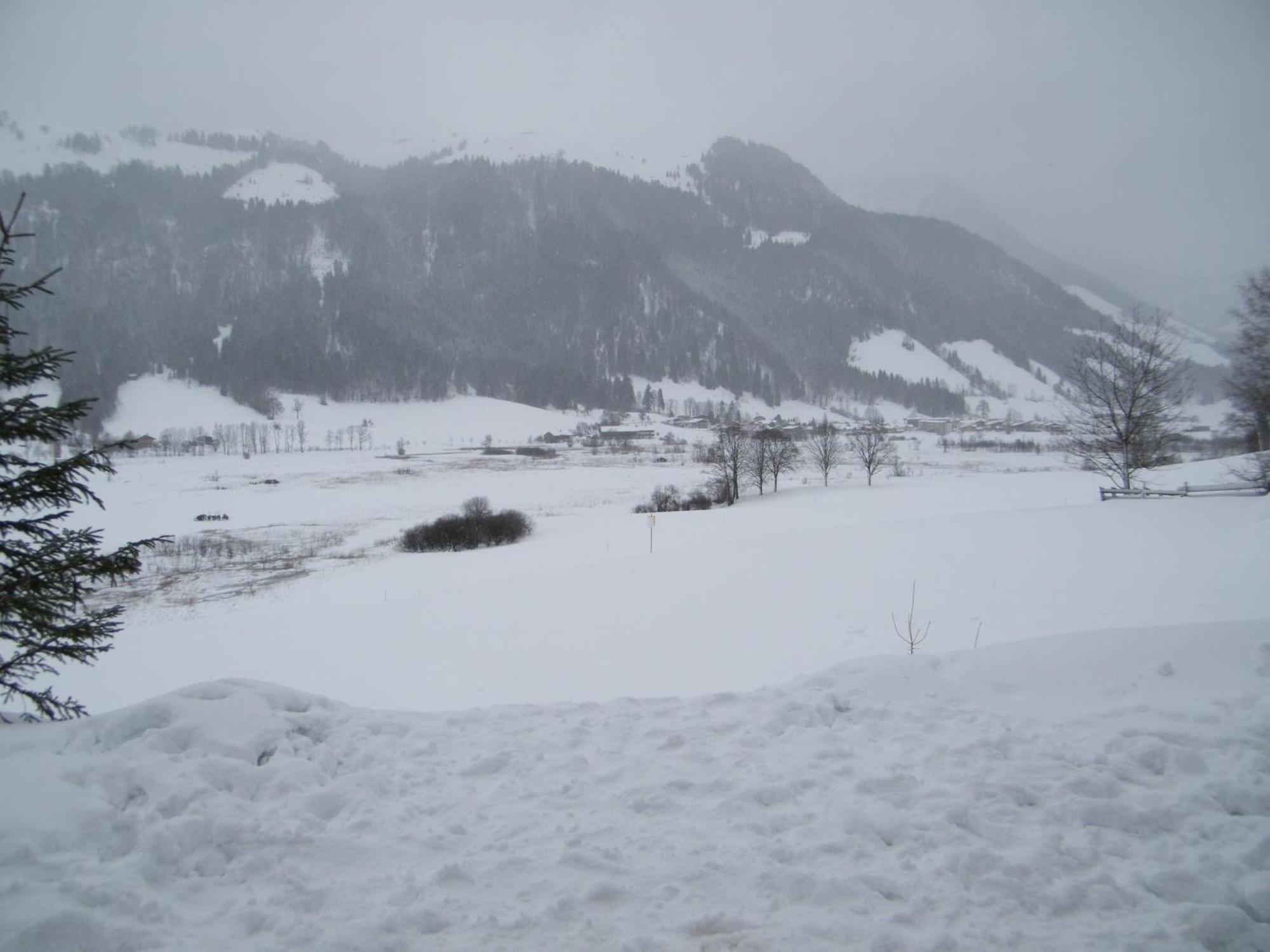 Apartmán Hinterankerwald Walchsee Exteriér fotografie