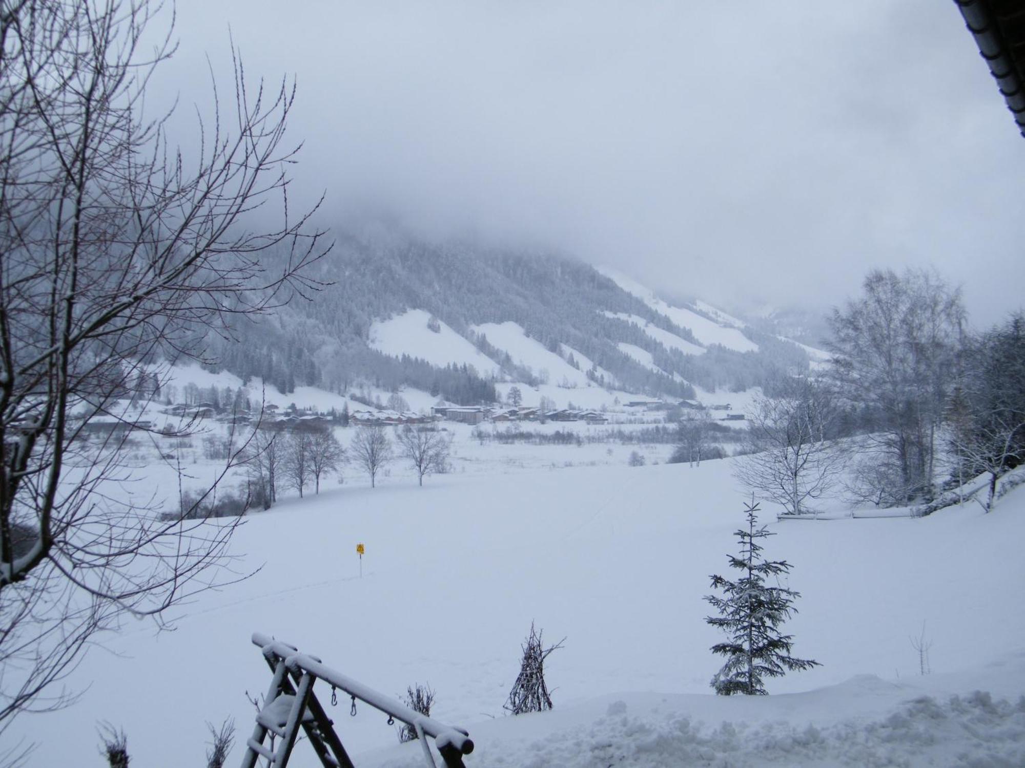 Apartmán Hinterankerwald Walchsee Exteriér fotografie