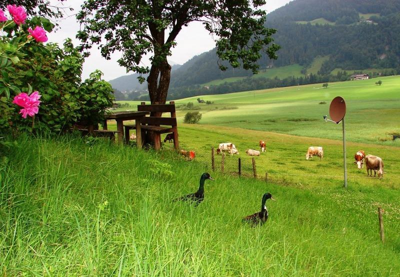 Apartmán Hinterankerwald Walchsee Exteriér fotografie