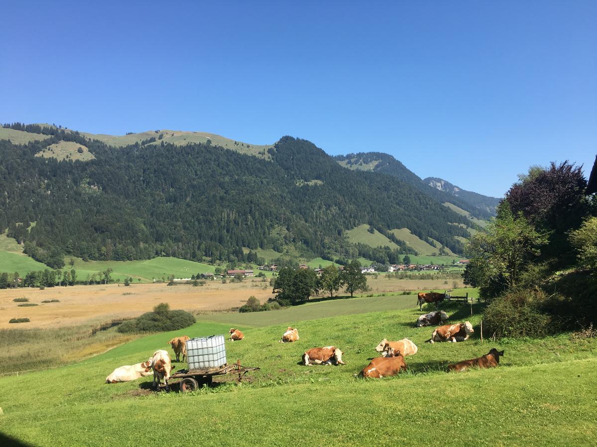 Apartmán Hinterankerwald Walchsee Exteriér fotografie
